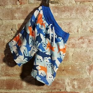 Infant Swim Trunks